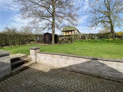 Picture 29